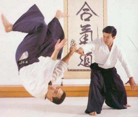 Stagiul Naţional de Aikido desfăşurat la Mamaia